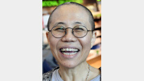 ‘인권운동가’ 류샤오보의 부인 류샤, 中인권 토론회 참석 위해 뉴욕에