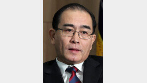 태영호 “北, 1991년에도 교황 초청… 가톨릭 열풍 두려워 포기”