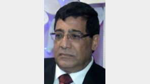 정부정책 비난했다 체포… “이집트판 카슈끄지 될뻔”