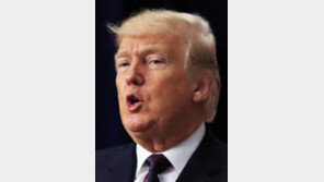 트럼프 “北 관련 결정 가장 힘들었지만 지금까지는 만족… 김정은과 좋은 관계”