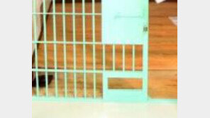 해남경찰서 유치장서 살인피의자 수감 다음날 자살…감시 경찰 ‘꾸벅꾸벅’