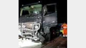 스웨덴 북부서 트럭·버스 충돌사고…‘외국인’ 6명 사망