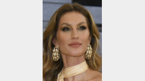 브라질, 번천에 “환경대사 해봐라” “잘 모르면서 아마존 파괴 험담”