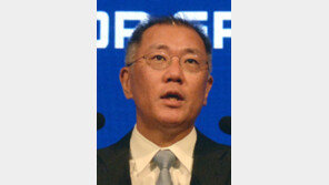 정의선 수소위원회 공동회장 취임