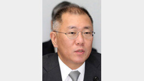 정의선 미국행… 북미 車시장 공략 점검