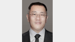 ‘정의선 3세 책임경영’ 가속