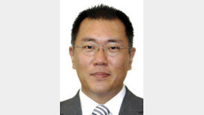 정의선표 혁신 시동… 임직원 직급 확 줄여 ‘애자일 조직’ 바꾼다