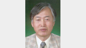 [기고/신상구]아우내장터 만세를 기리자