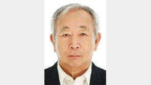 [기고/이문호]우여곡절 끝에 날개 단 韓스텔스기