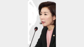 나경원 “정의용 발목? 복구예산 추경? 재난 정치적 이용 씁쓸” 일축
