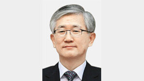 불쑥 나온 주일대사의 ‘정상회담 추진론’