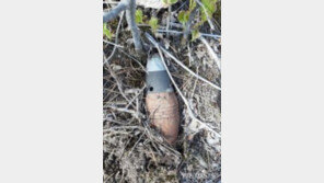 인천 도로공사장서 120㎜ 포탄 발견…폭발물 처리반 회수