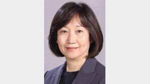 부동산 정책, 이 정부의 실력이다[오늘과 내일/신연수]