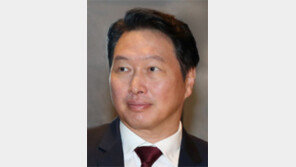최태원 회장, 싱하이밍 中대사 만나 경제협력 논의