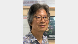 코로나 백신 개발에 ‘림프관’ 연구는 왜?