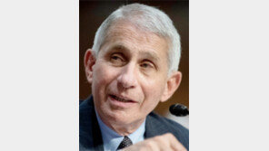 쓴소리 부메랑?… 美최고 전염병 전문가 해임 위기