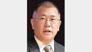정의선, 현대차그룹 회장에… 3세 경영 본격화