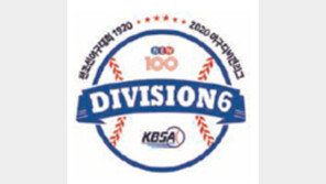 동호인-유소년-엘리트 함께 뛰는 야구 리그 출범