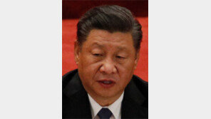 시진핑 “일방주의로 국제질서 파괴 안돼”