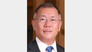 정의선 회장 화훼농가돕기 동참