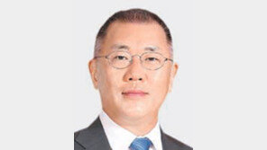 현대차, 美 로봇개발업체 인수 협의… 정의선 회장 ‘로보틱스 강화’ 구상 탄력