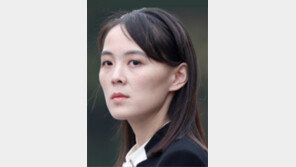 강경화 ‘북한스럽다’에 발끈한 김여정 “망언 두고두고 기억”