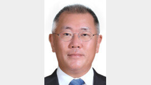 정의선 양궁협회장 5연임 성공