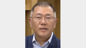 정의선 회장 “품질 루머, 고객과 공감 중요” 