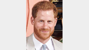 英 해리왕손, 실리콘밸리 스타트업 임원 맡아