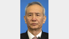 ‘알리바바 때리기’ 주도한 류허의 아들, 경쟁사에 거액 투자 