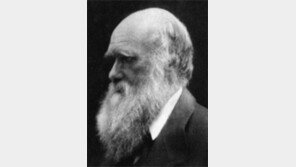 인간 유래 연구 150년… 다윈의 상상은 현실이 됐다