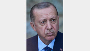 에르도안 “反정부 인사 석방요구 10개국 대사 추방”
