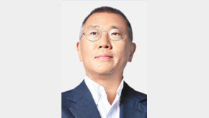 [단독]정의선 귀국… “유럽에 전기차 판매 늘리겠다” 