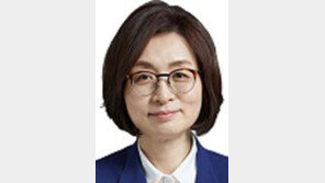 檢, 뇌물-직권남용 등 4개 혐의 은수미 기소 