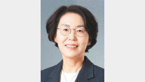 디지털 대항해 시대와 규제 혁신[기고]