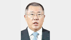 정의선 현대차 회장, 印尼공장 준공식 참석 출국 