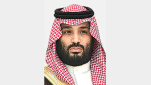 “사우디 왕세자, 백악관 안보보좌관에 고함 질러” 