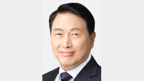 최태원회장, 佛 레지옹 도뇌르 훈장