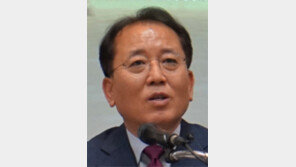 “이건희 컬렉션, 뉴욕 메트로폴리탄박물관 전시 추진”