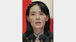김여정 “대북전단 탓 코로나 유입… 강력 보복” 