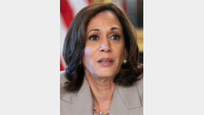 해리스, 29일 尹 예방… 전기차 보조금 논의할듯 