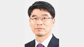 송호성, 외교장관 특사로 阿 3개국 돌며 지지 요청 