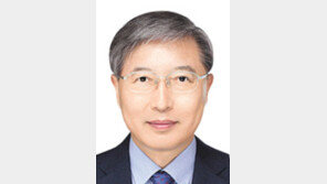 기후기술이 국가 경쟁력이다[기고/김종남]