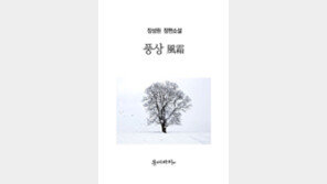 기자-국회의원 출신 장성원 작가, 항일운동사 다룬 소설 ‘풍상’ 출간