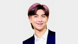 BTS RM, 유해발굴감식단 홍보대사