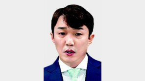 ‘비위 의혹’ 이정섭 검사… ‘이재명 수사’에서 제외