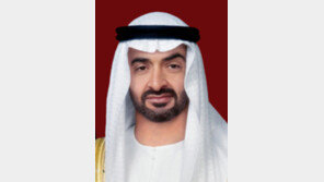 UAE 대통령 첫 방한… ‘300억달러+α’ 투자 협의