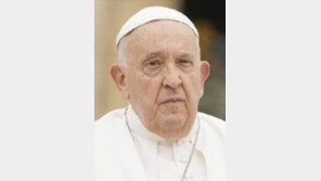 교황, 회고록서 교황 비판 前비서관 발트3국 대사 임명