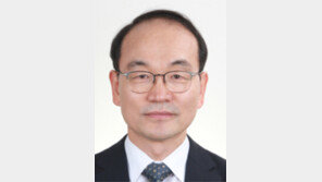 ‘K원조’ 세계에 알리려면 유-무상 통합 운영해야[기고/이윤현]