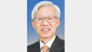 [동아시론/이상현]경주 APEC은 ‘제2의 서니랜즈’가 될 수 있을까